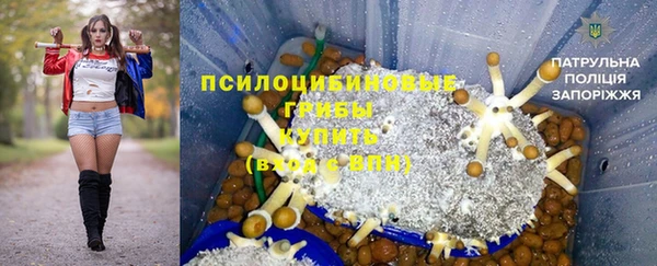 бошки Абаза