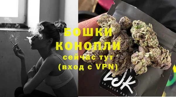 сатива Михайловск