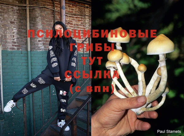 синтетический гашиш Абдулино
